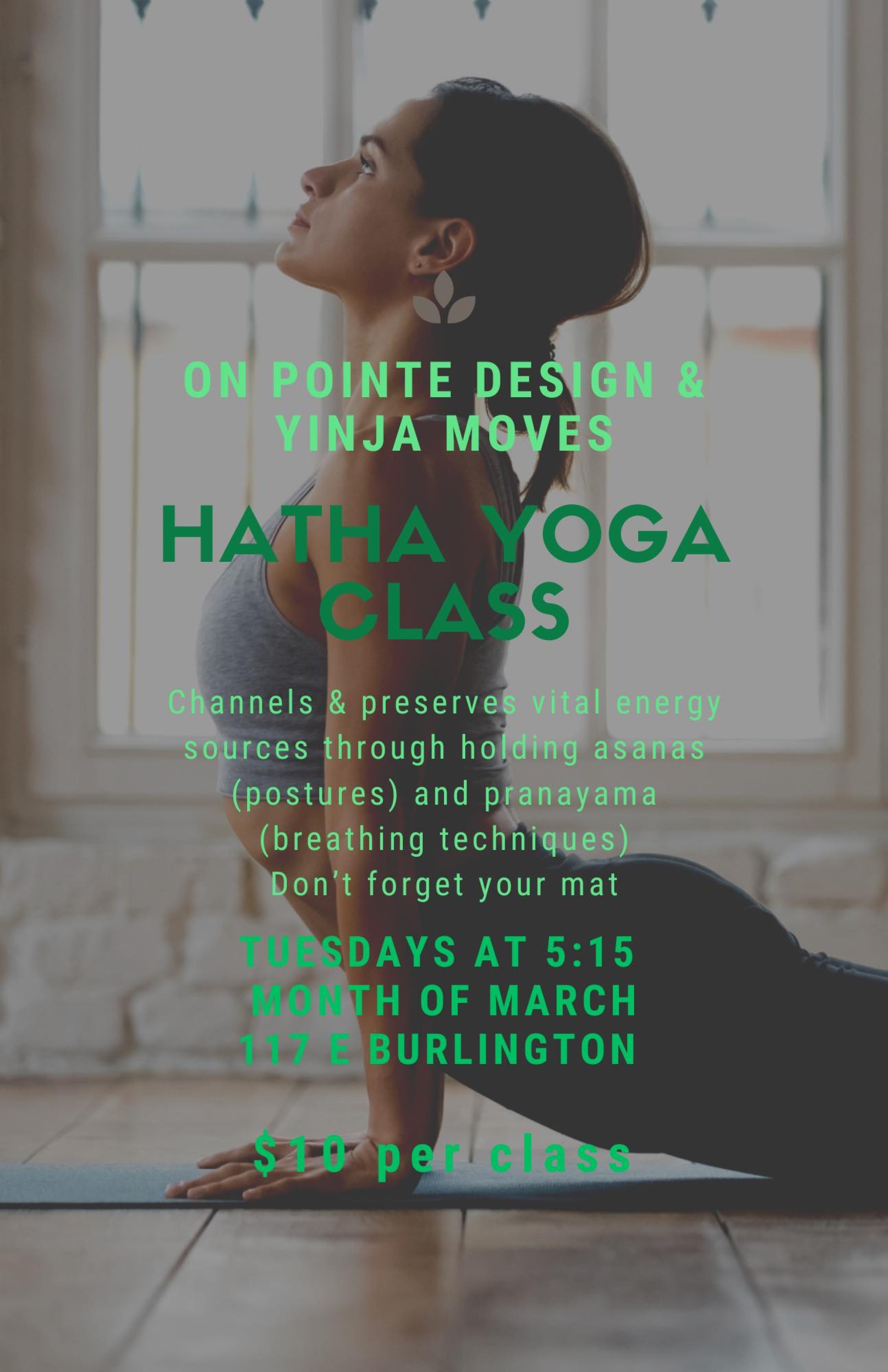 hatha yoga