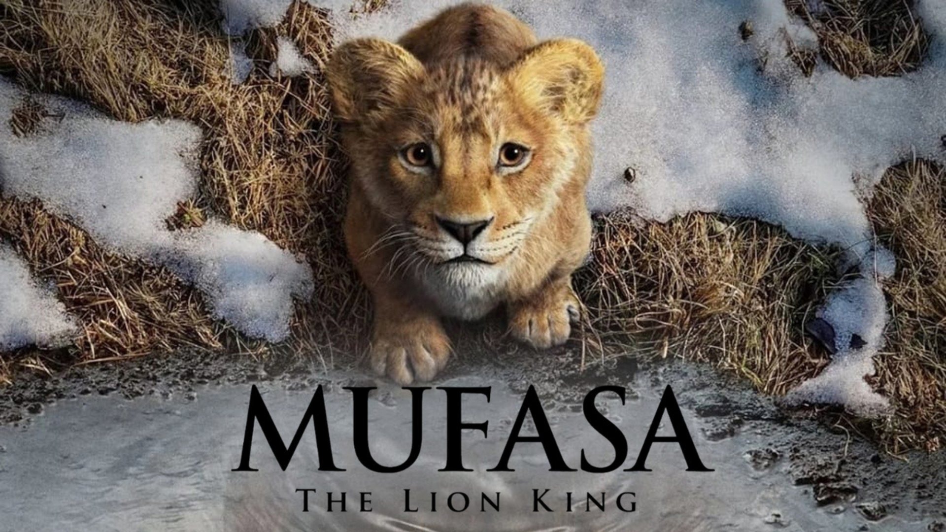 mufasa